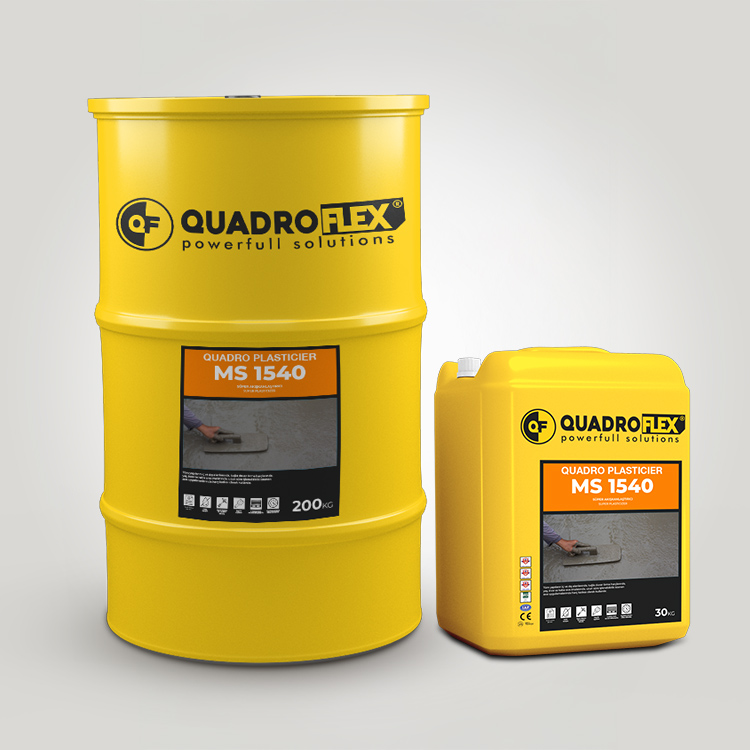 Quadro Plasticier